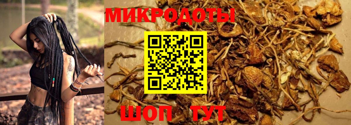 Ростов-на-Дону  Псилоцибиновые грибы мицелий  Вход с VPN 
